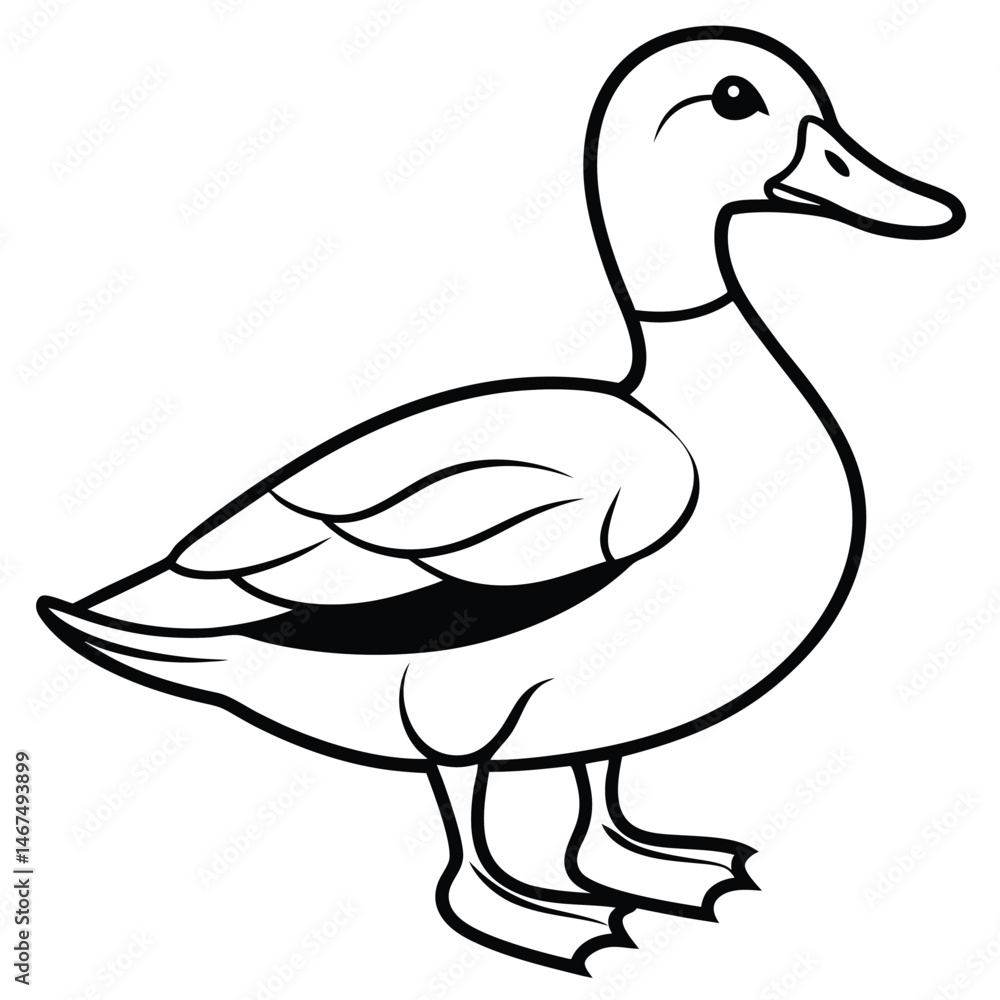 Mallard Duck Line Art Clean Simple Vector Illustration Mallard Duck Line Art Clean Simple Vector Illustration