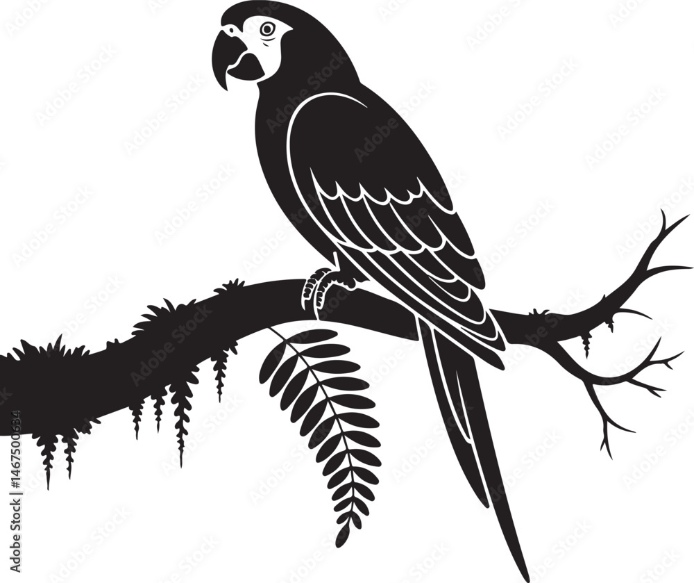 Obraz premium Tropical Parrot Silhouette on Branch with Fern for Exotic Bird Art Design