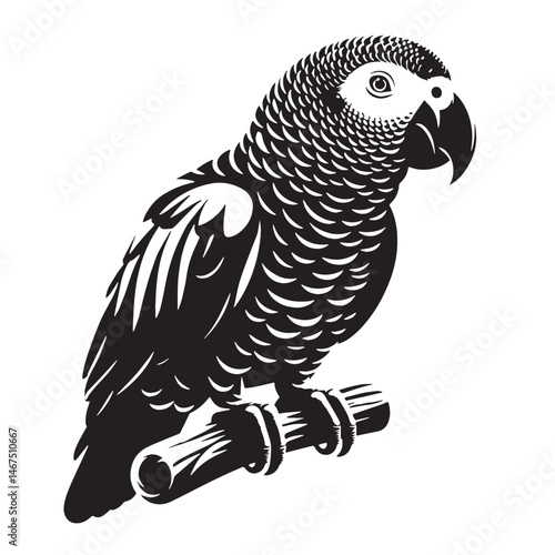 African Grey Parrot Silhouette line art vector illustration on white background