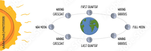 Lunar Orbit and Eclipse Stages Illustration in flat style on white background. Lunar Shadow Path Diagram. All phases of the moon on the earth orbit