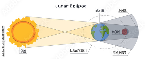 Lunar eclipse infographic in flat style on white background. Moon orbit, umber and penumbra. Earth passes between the Moon and the Sun. astronomical event phenomenon of the full red moon. Blood moon
