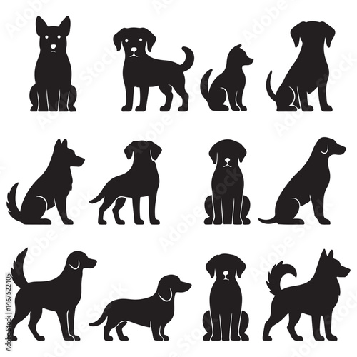 Explore the World of Dog Breeds: A Comprehensive Guide to Canine Diversity