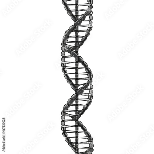 Flat vector DNA Strand, minimalist design, isolated on a white background.