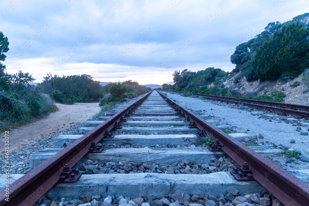 Fototapeta premium Rusty Railway Track Stretching into the Distance in the Evening