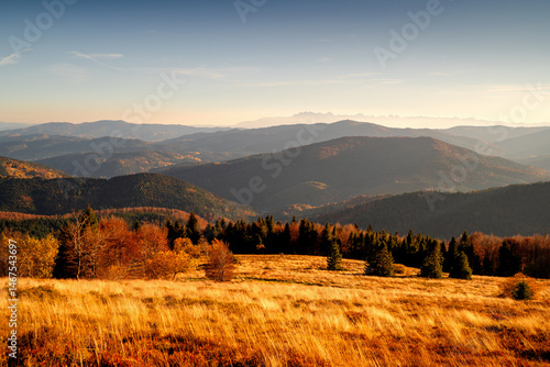 Fototapeta Naklejka Na Ścianę i Meble -  Picturesque meadow Stumorgowa, Beskids, Poland. View of the Tatra Mountains. Autumn landscape of the Polish mountains.