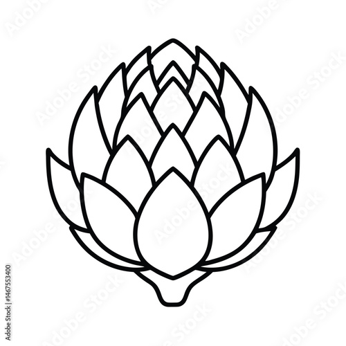 vector illustration of  artichoke
