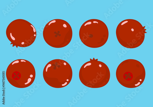 Vector illustration of a food set of vegetables and fruits. Fresh cranberries. Tasty. Isolated elements on a blue background for an inspirational poster. Inspirational slogan on organic, vegan.

