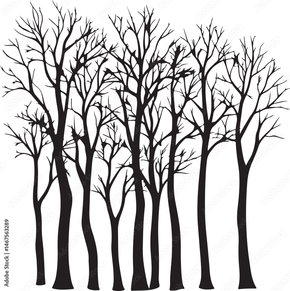 Black Silhouette Trees Illustration: Bare Branches in Winter Forest Art Design Black Silhouette Trees Illustration: Bare Branches in Winter Forest Art Design