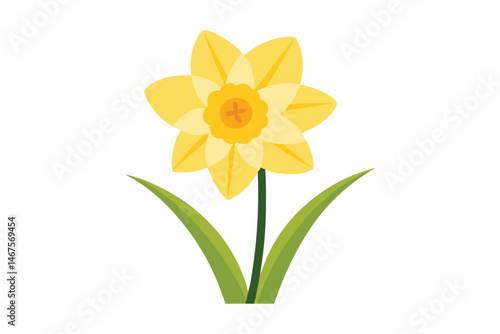 Yellow daffodil flower vector illustration on white background