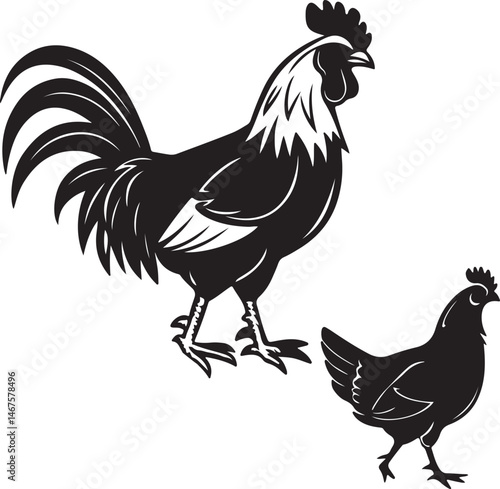 Rooster and hen silhouettes in black on a white background, illustrating their profiles in a simple vector design