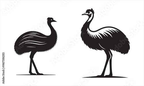 set of Ostrich silhouette vector illustration
