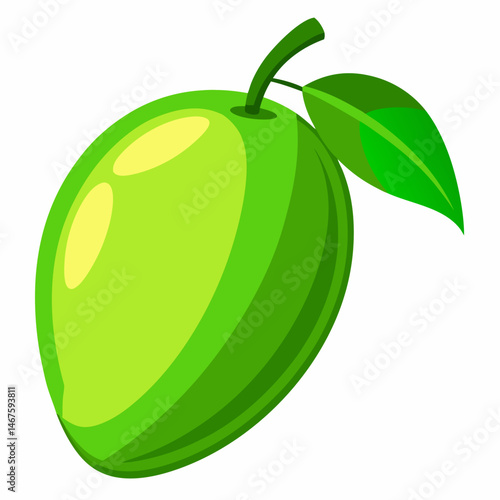 Vector illustration of a green mango