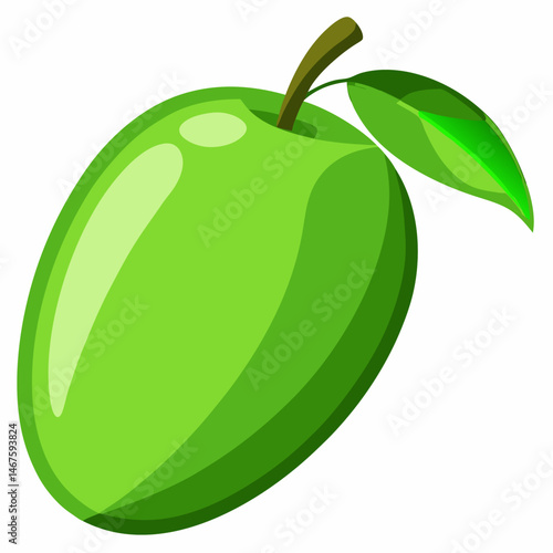 Vector illustration of a green mango