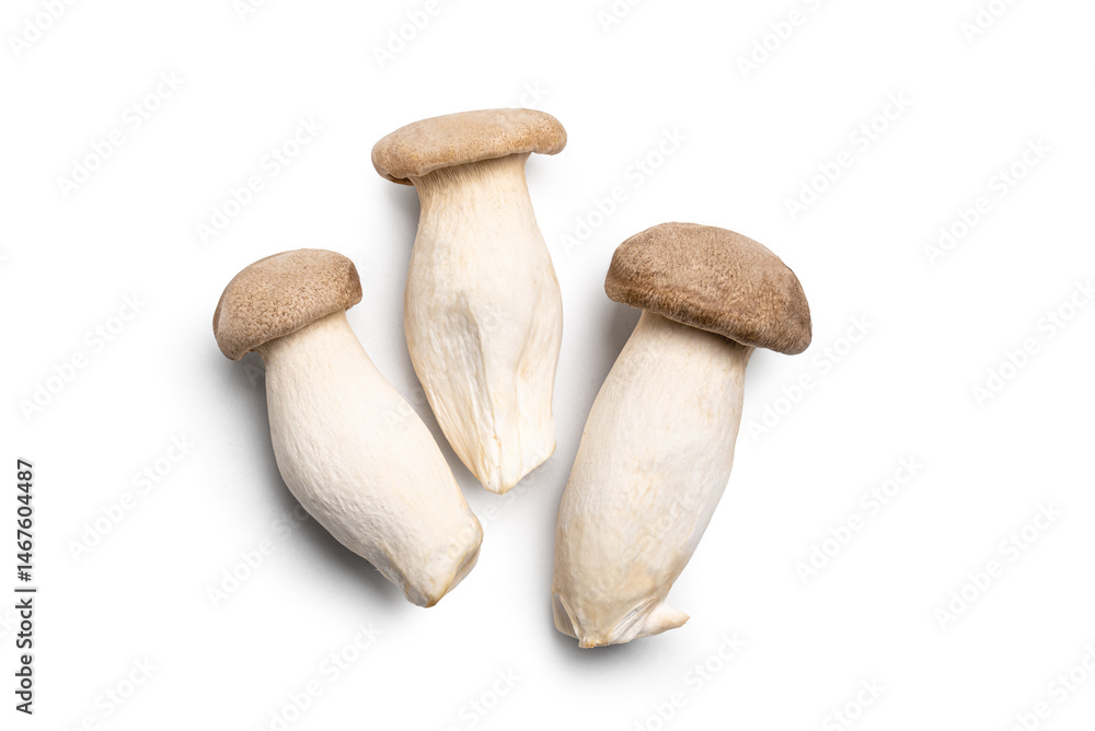 King Oyster Mushroom, Eryngii mushrooms King Oyster Mushroom, Eryngii mushrooms
