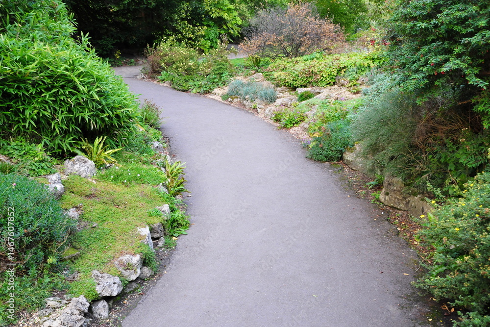 Winding path through a beautiful garden with colourful flowers and leafy plants Winding path through a beautiful garden with colourful flowers and leafy plants