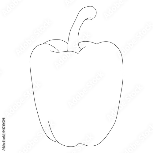 Capsicum line art vector design. Capsicum outline illustration design.
