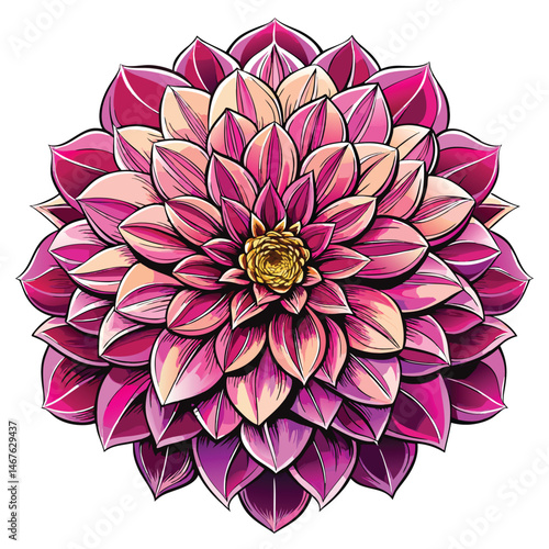 Purple Allium Flower Drawing