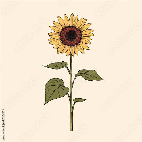 Flat vector Sunflower, minimalist design, isolated on a white background.