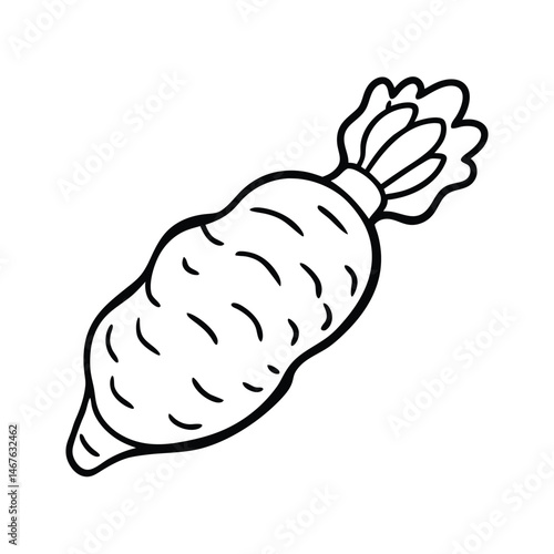 vector illustration of a wasabi root