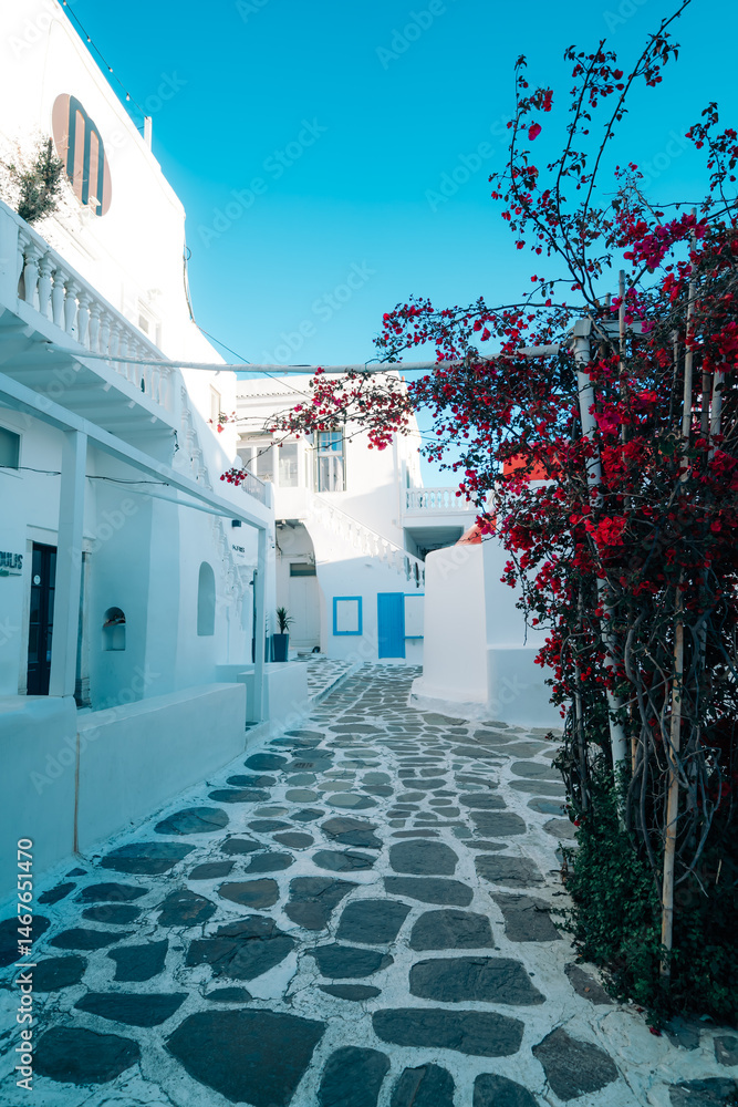 Fototapeta premium ギリシャのミコノス島の風景