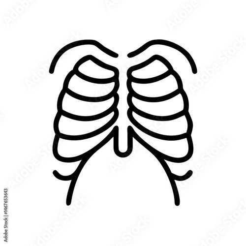 ribs