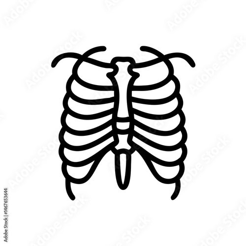 ribs