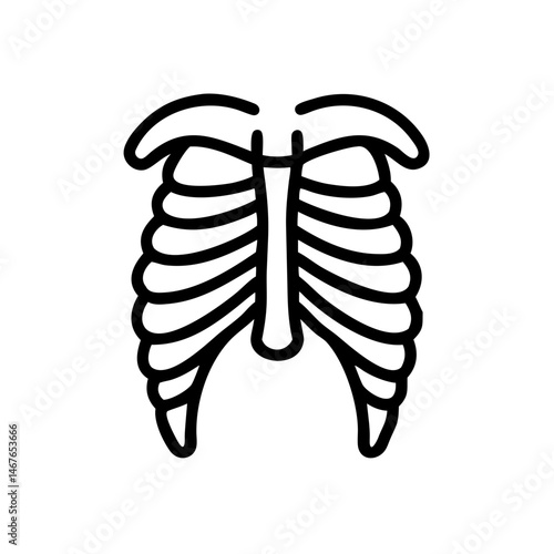 ribs