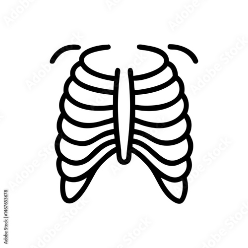 ribs