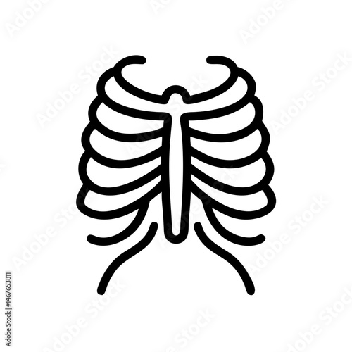 ribs