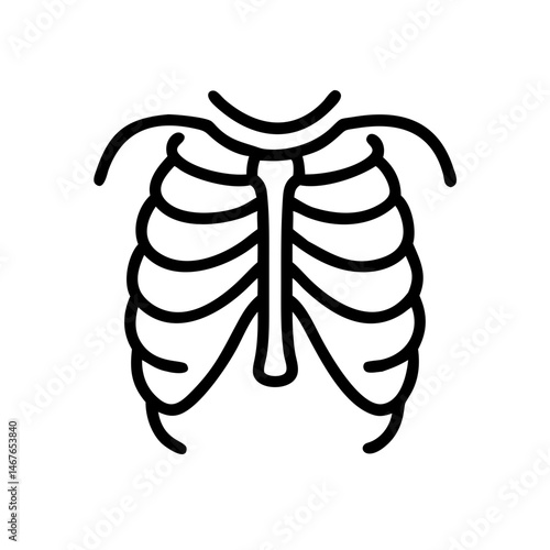 ribs
