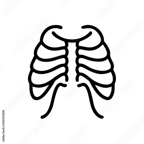 ribs