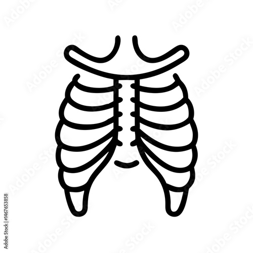 ribs