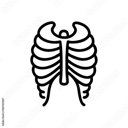 ribs