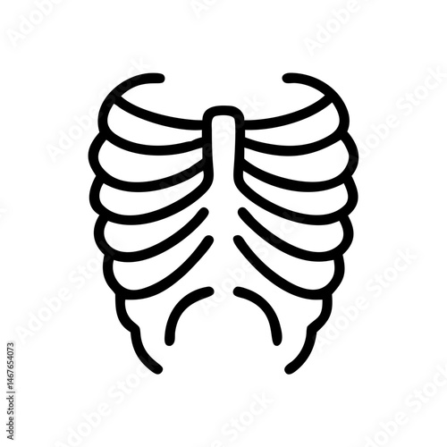 ribs