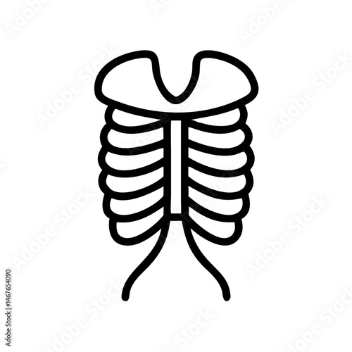 ribs