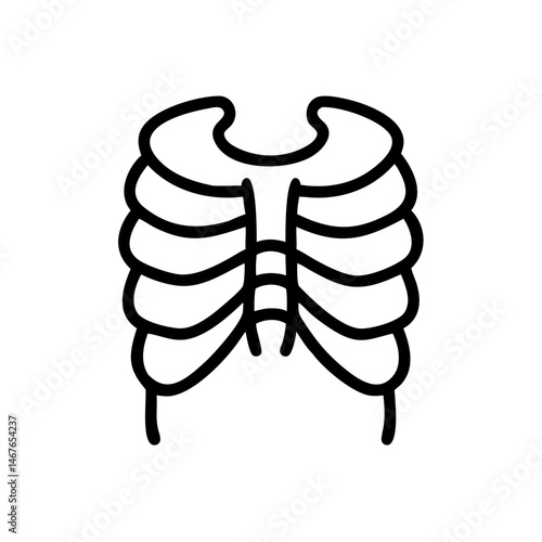 ribs