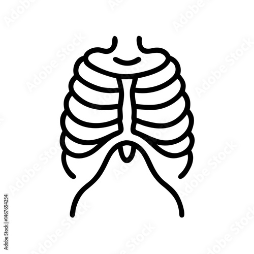 ribs