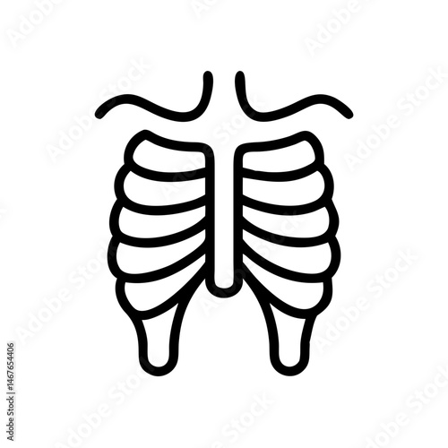 ribs
