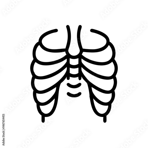ribs