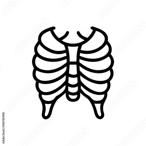 ribs