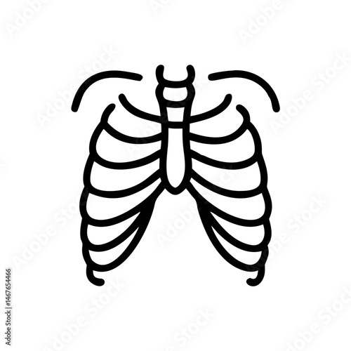 ribs