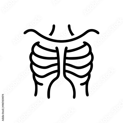 ribs