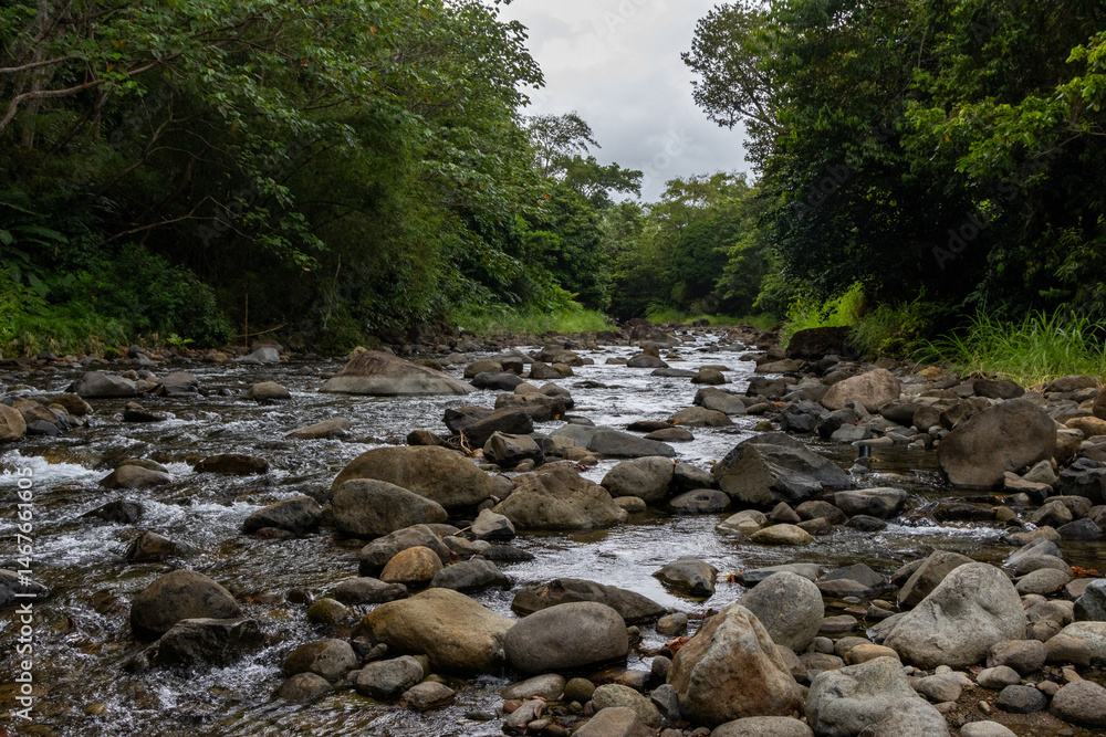 Obraz premium river in the mountains