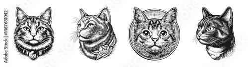Detailed Cat Portrait Sketches in Elegant Black and White Style, vector illustration, engraving design, logo design set, black and white line, template design element