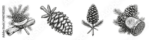 Vintage Illustrated Pinecone and Pine Tree Decoration Elements, vector illustration, engraving design, logo design set, black and white line, template design element