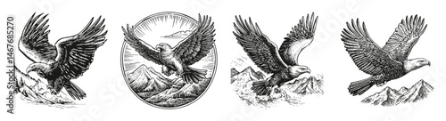 Vintage Illustrations of Majestic Eagles in Flight Over Mountains, vector illustration, engraving design, logo design set, black and white line