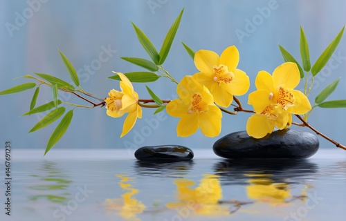Yellow Orchid Flowers and Bamboo Arranged Over Smooth Stones in Tranquil Refl...
