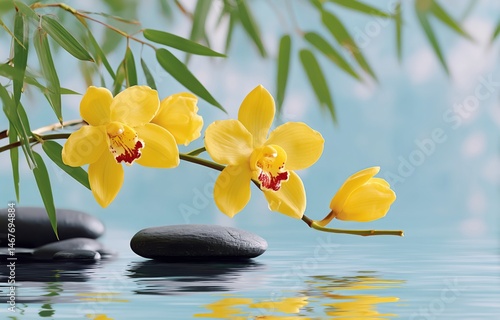 Yellow Orchids Bloom Gracefully Over Calm Water With Smooth Stones Underneath