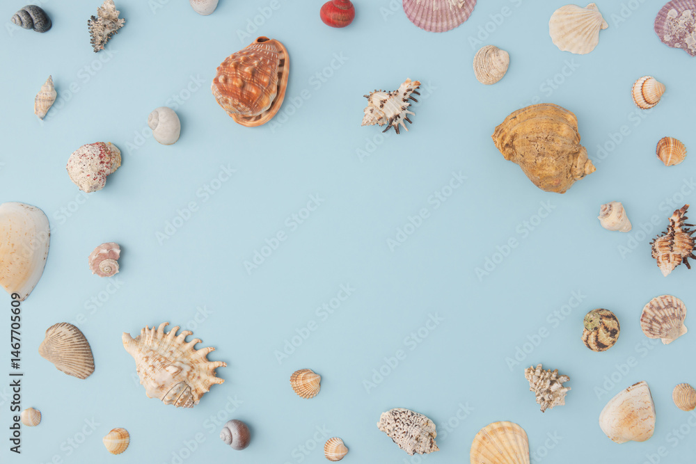 Marine shells placed around edge of light blue background for blank center layout..Versatile top-down photo for summer ads, greeting cards or editorial content... Marine shells placed around edge of light blue background for blank center layout..Versatile top-down photo for summer ads, greeting cards or editorial content...