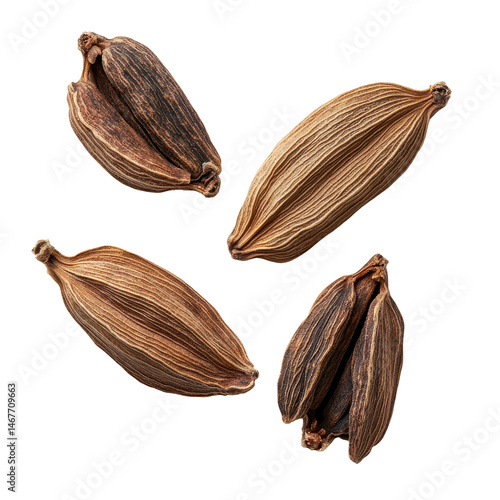 Wallpaper Mural Brightly colored cardamom pods laid out on a white background highlighting their texture and shape Torontodigital.ca